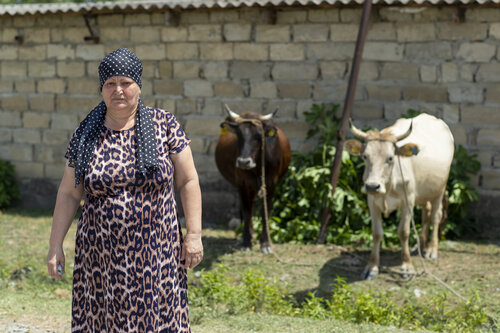 şəhid Elməddin Alxasovun anası Əsli Alxasova