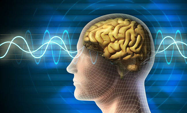“Beyin çipləri 2022-ci ilə qədər insanlara implantasiya edilə bilər”
