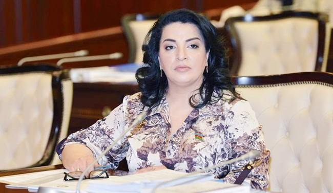 Fatma Yıldırım: "Mina terroru erməni terrorizminin əsas göstəricilərindən biridir"