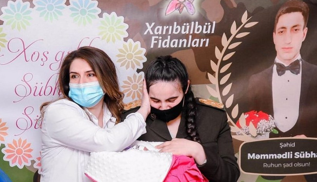 “Xarıbülbül fidanları”