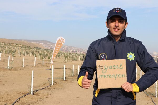"Yaşıl Marafon" ağacəkmə kampaniyasında digər qurumlar da böyük coşqu ilə iştirak edir