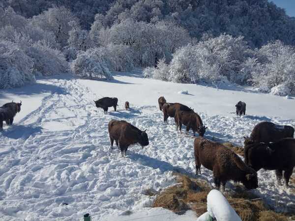 Şahdağ Milli Parkı