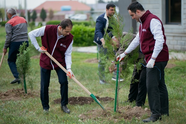 Daha bir neçə rayonda “Vətən Bağı” yaradıldı
