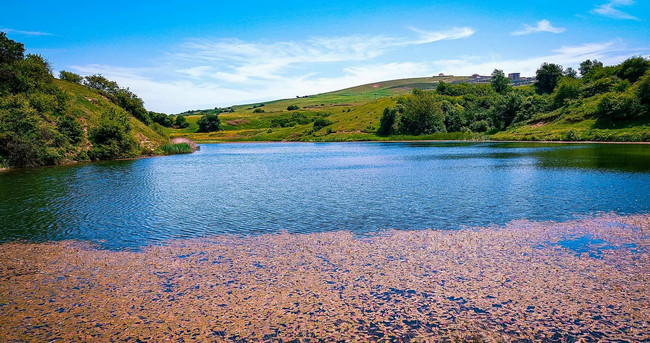 Şamaxı rayonu, Nağaraxana kəndi, Bam gölü