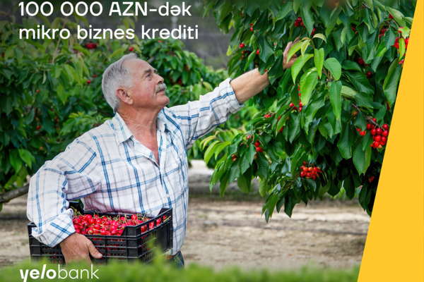 Yelo Bank-dan 100 000 manatadək mikro biznes krediti