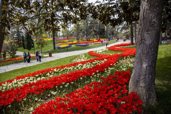 İstanbul məşhur "Lalə mövsümü"nə hazırdır