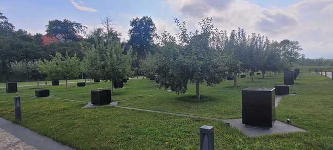 Quba Memorial Kompleksi alma bağı / Foto: İradə Cəlil, Bizimyol.info