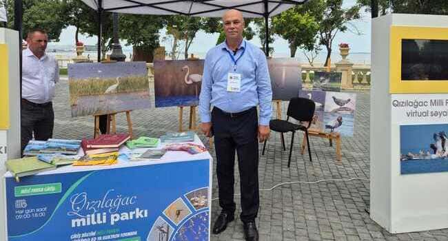 Qızılağac Milli Parkının direktoru Aqil Sucayev / Foto: İradə Cəlil, Bizimyol.info