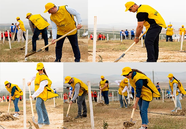 Yelo Bank ölkəmizin yaşıllaşdırılmasına öz töhfəsini verdi